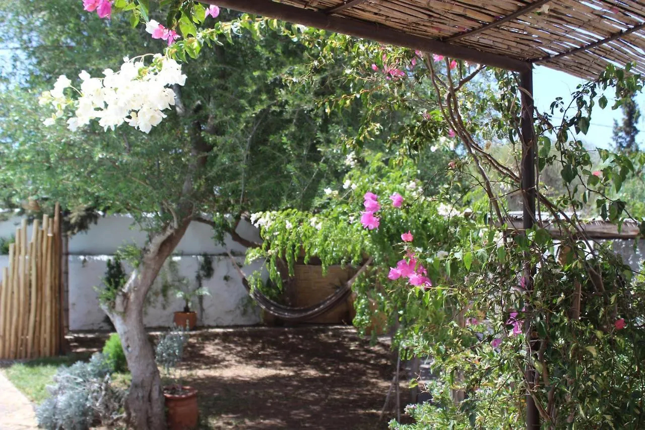 Dar Sanam Essaouira Villa